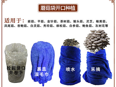 网上购买菌菇包的注意事项