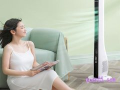 网上买电风扇什么牌子好
