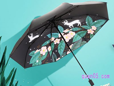 雨伞的结构