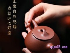 石瓢紫砂壶泡什么茶