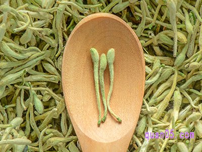 什么是优质的金银花