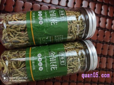 金银花的采摘时间