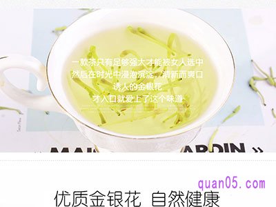 什么样的金银花是好的