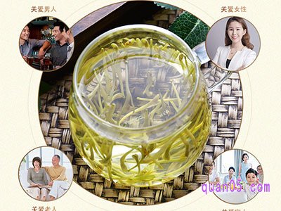 关于金银花