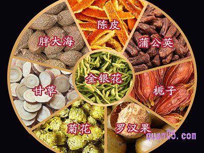 金银花搭配菊花一起泡水喝