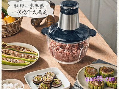 如何选家用绞肉机