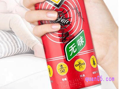 杀虫气雾剂能杀蚊子吗