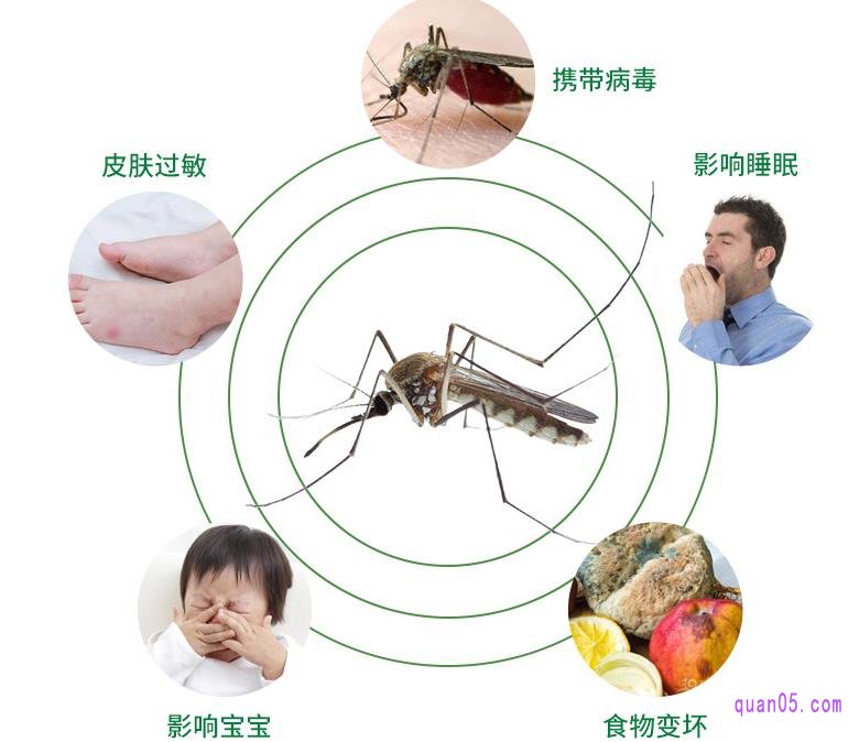 蚊子有哪些危害