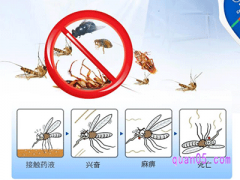 房间怎么彻底除虫，有哪些方法？