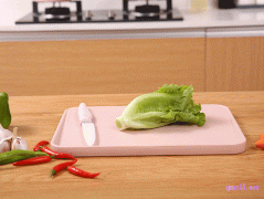 pp塑料菜板安全吗