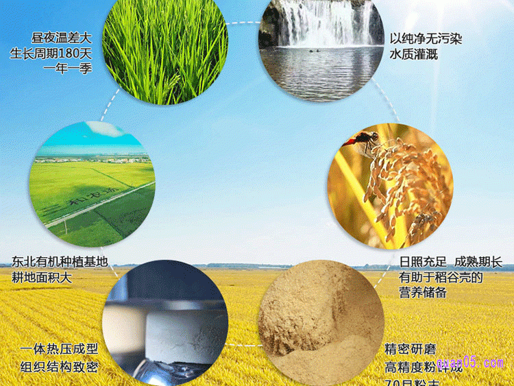 绿之态稻谷壳砧板的材质是什么,安全吗
