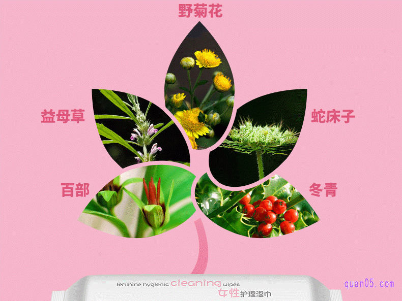 子初女性护理湿巾的主要成分是什么