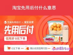  淘宝先用后付什么意思