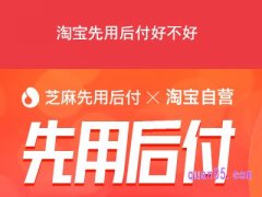 淘宝先用后付好不好？