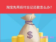 淘宝先用后付忘记还款怎么办？