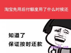 淘宝先用后付额度用了什么时候还？