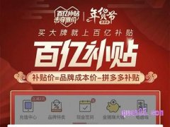拼多多百亿补贴在哪里进去?