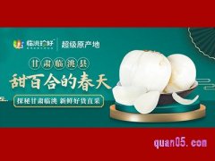 临洮珍好有网购吗？