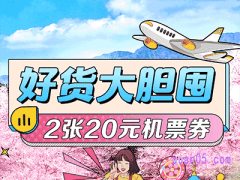 飞猪20元国内机票券-2张1.1元