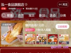 泓一食品旗舰店在哪里？