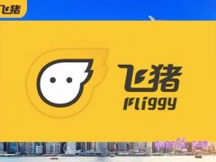 飞猪官方网站网页版在哪里？