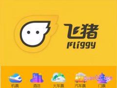飞猪官网网址多少？