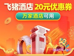 飞猪酒店满减券，(满200元减10)1元购2张10元飞猪酒店优惠券