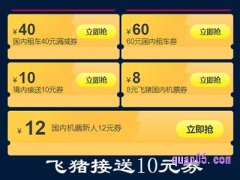 飞猪10元境内接送机优惠券领取