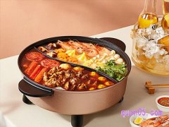 九阳电火锅多少钱一个？