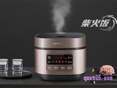 九阳电饭锅多少钱一个？