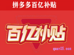 拼多多百亿补贴从哪里进去？