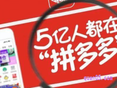 拼多多补贴100亿是哪里来的？