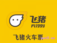 飞猪火车票优惠券为什么不能用？