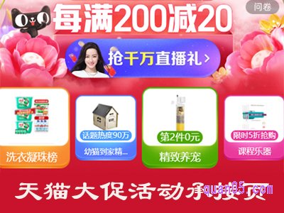 天猫大促承接页买家在哪里看