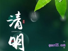 淘宝清明节会搞活动吗？