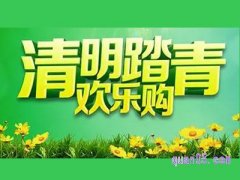 清明节有购物活动吗？