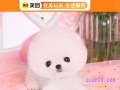 美团宠物优惠券怎么领取？
