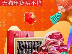 天猫年货买不停有几天？