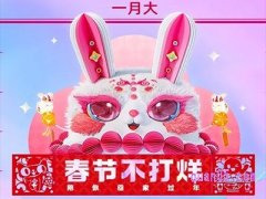 天猫过年不打烊几号开始？