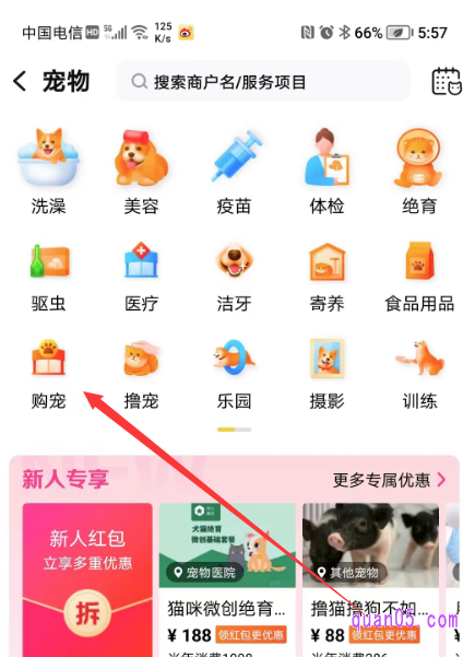 美团宠物频道