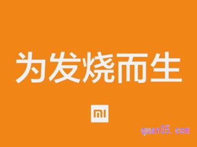 小米天猫官方旗舰店是谁经营的产品