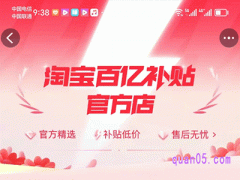 淘宝百亿补贴官方店是什么意思