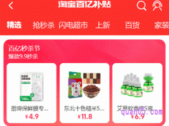 淘宝百亿补贴官方频道店家是谁