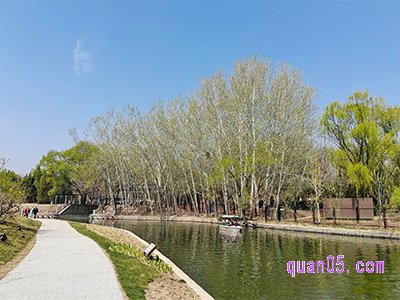 美团【单人票】朝阳公园游乐园勇敢者乐园21项选9项目套票109元