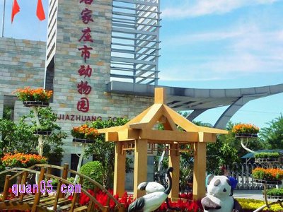 石家庄市动物园老人门票多少钱