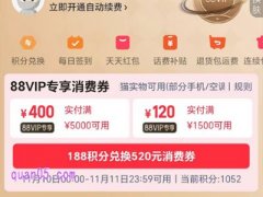 2024年88会员在双11有特别优惠吗