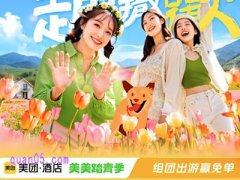 美团酒店民宿的促销活动有哪些，领美团酒店民宿优惠券