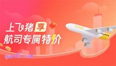飞猪特价机票怎么买